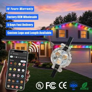 High Brightness 12V 24V 36V Rgbw <b>Point</b> <b>Light</b> Programmable Smart Wifi Controller Permanent Outdoor Christmas Lighting - Product Image 1