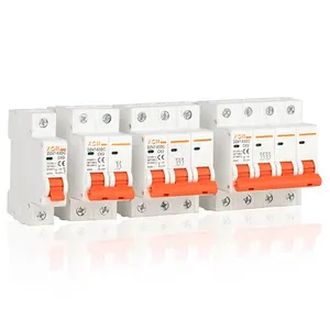 Mini Electrical DZ47-63 2P 240V 415V 20Amp 25Amp Miniature Circuit Breaker AC DC MCB 6KA Breaking Capacity For Home Use