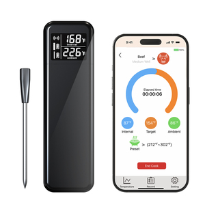 Thermomètre numérique sans fil en plastique ultra-fin (4,2 mm) pour viande, Bluetooth, chargement USB Type-C, alarme, sécurité des données, barbecue, cuisine - Product Image 2