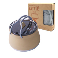 Ensemble de cuisine de camping portable moderne avec couvercle en verre, bouilloire pliable en silicone pour cuisinière à gaz extérieure et plaque à induction