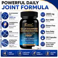 Nouveauté : Complément de Glucosamine et Chondroïtine, Vitamine Extra Forte, Capsules de Glucosamine pour la Santé des Articulations, pour Hommes et Femmes