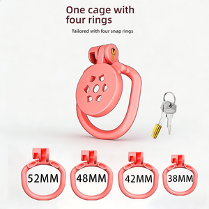 <span class=keywords><strong>Cage</strong></span> de <span class=keywords><strong>chasteté</strong></span> <span class=keywords><strong>plate</strong></span> avec système anti-sortie - pour un jeu de domination/submission sécurisé - Product Image 4