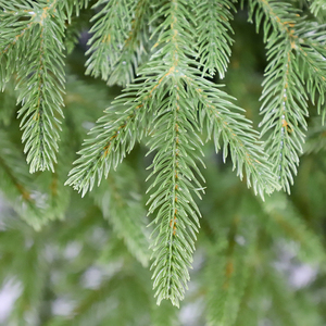 Vente en gros Pvc Nouveau design Sapin de Noël artificiel de haute qualité Décoration de la maison Sapin de Noël - Product Image 2