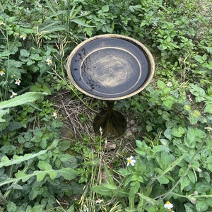 Bahçe çim Yard için Vintage kase ile ayakta serbest duran <span class=keywords><strong>Metal</strong></span> kuş banyosu - Product Image 6