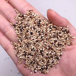 2189 Li Mai popolare OEM/ODM Tricolor <span class=keywords><strong>Quinoa</strong></span> fresco crudo cinese Snack per la cottura scatola/imballaggio alla rinfusa con opzione tè alla frutta - Product Image 5
