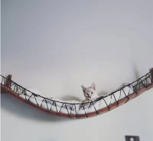 Rope Cat Bridge Climbing Wall Cat Tree Wall Passage Wooden Climber