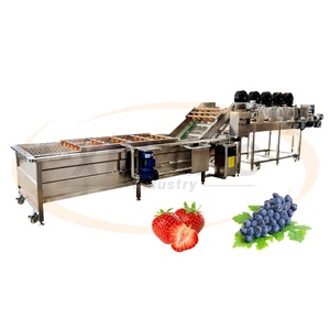 Laveuse de fruits et légumes entièrement automatique à ozone en acier inoxydable avec nettoyage par bulles d'air, état neuf, composant moteur essentiel - Product Image 1