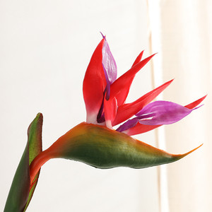 ดอกไม้ประดิษฐ์นกสวรรค์จำลอง <span class=keywords><strong>Strelitzia</strong></span> <span class=keywords><strong>reginae</strong></span> สำหรับการจัดดอกไม้ภายใน - Product Image 6