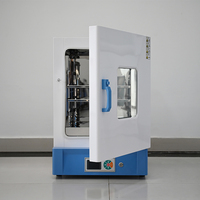 Four de séchage vertical de laboratoire économique et basique 20L, avec doublure intérieure en acier inoxydable 304 de haute qualité