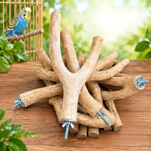 Perchoirs pour oiseaux en bois de café naturel – Branches simples et doubles, Fournitures écologiques pour animaux de compagnie - Liam - Product Image 1