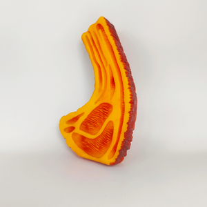 Juguete Masticable para Perros Serie Steak, Directo de Fábrica, Juguete Chillón de Vinilo de Alta Calidad, Divertido y Interactivo para Aliviar el Aburrimiento - Product Image 5