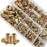 Kit d'assortiment de rivets filetés à tête plate en zinc M3-M12, 300 pièces, kit combiné de rivets filetés pour automobile