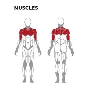 Banco de Pesas Ajustable para Ejercicios Comerciales, Banco de Press de Hombros para <span class=keywords><strong>Fitness</strong></span> - Product Image 2