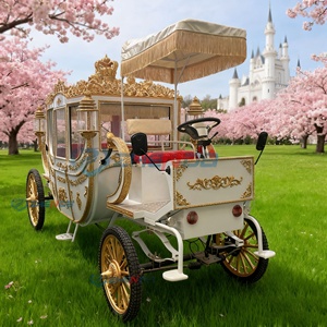 Carruaje Real Blanco para Bodas, Carruaje Eléctrico para Bodas, Carruaje Eléctrico de Ocio, Precio de Carroza Tirada por Caballos - Product Image 2