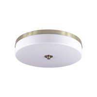 Plafonnier LED moderne Worbest 16 pouces 25W 5CCT à température de couleur variable et dimmable, certifié ETL/cETL pour la décoration du salon et de la chambre