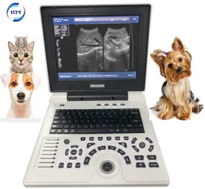 Rayman Veterinary Device Vet Máquina de escáner de ultrasonido portátil digital completo para animales
