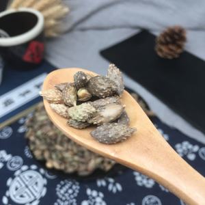 Vente en gros de graines de cocklebur chinoises de haute qualité Chao Can Er Zi, variété complète - Product Image 2