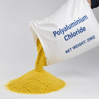 Poudre de chlorure de polyaluminium (PAC) 28% pour l'élimination des turbidités élevées
