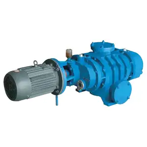 ZJ Single Stage Oil-free Positive Displacement High Booster Roots Vacuum Pump