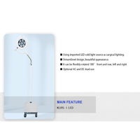 Chirurgie Dentaire Phare Lumière Chirurgicale Led Shadowless Chirurgie Médicale Led Lumière Opératoire pour Examen