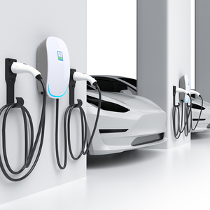 Accessoires de charge rapide pour Wuling Singguang S - Product Image 5