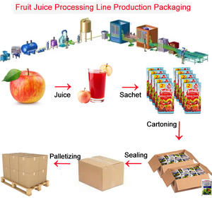 เครื่องผสมผลไม้ SUS304แบบ316สำหรับผลิตมะม่วงสายการผลิตตามสั่ง - Product Image 2