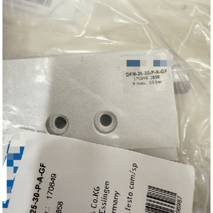 Dfm-25-30-<span class=keywords><strong>p</strong></span>-a-wbrgf 170849 Cilinder Nieuw Dfm2530pagf - Product Image 1