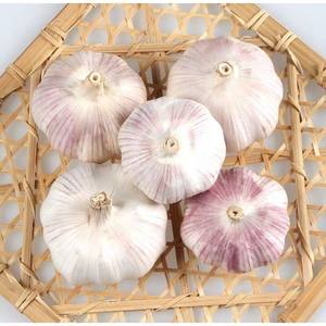 Vente en gros de 5 livres de Shandong AD <span class=keywords><strong>Ail</strong></span> cru transformé Bulbes à peau violette et blanche Épices et herbes simples - Product Image 1