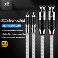 Câble RCA XLR haut de gamme mâle/femelle, Audio stéréo OCC plaqué argent, microphone professionnel équilibré, haut-parleur Hifi 2XLR 2RCA