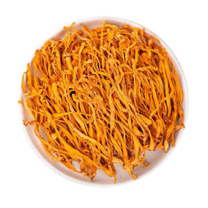 Extrait de Cordyceps Militaris biologique de haute qualité, meilleur <span class=keywords><strong>champignon</strong></span> séché <span class=keywords><strong>comestible</strong></span> naturel, Cordyceps Militaris - Product Image 5