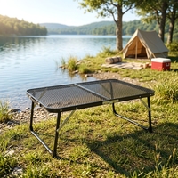 Table de barbecue pliable en plastique moderne de haute qualité pour l'extérieur, avec dessus en maille, imperméable et légère, idéale pour le camping, la randonnée et l'utilisation en cour.