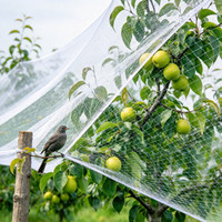 Filet anti-oiseaux robuste en rouleau de 50 m pour la protection des vignobles, des vergers, des baies et comme dissuasion pour les jardins - Vente en gros (Royaume-Uni)