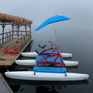 水上乐园设备新设计双人充气水上自行车垫板踏板船 - Product Image 6