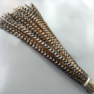 Plumas de cola de faisán Reeves natural, <span class=keywords><strong>10</strong></span>-160cm, venta al por mayor - Product Image 4