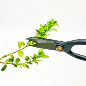 Powerlift GT014 in acciaio Bonsai ad alto tenore di carbonio strumento di taglio della radice del ramo di potatura cesoie fai da te casa da giardino forbici da taglio professionale - Product Image 3