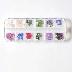 Mezcla de <span class=keywords><strong>flores</strong></span> <span class=keywords><strong>secas</strong></span>, decoraciones para <span class=keywords><strong>uñas</strong></span>, pegatinas de hojas florales naturales 3D para Navidad, esmalte de <span class=keywords><strong>flores</strong></span> <span class=keywords><strong>secas</strong></span> <span class=keywords><strong>en</strong></span> <span class=keywords><strong>uñas</strong></span> para diseño de joyas - Product Image 1