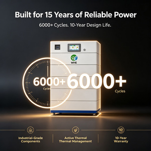 Sistema de Generación de Energía Solar Interior WHE de 15 kWh, 51.2 V, 300 A, Batería de Almacenamiento de Energía Lifepo4 de 24 V/48 V para Uso Doméstico, Híbrido Fuera de la Red - Product Image 5