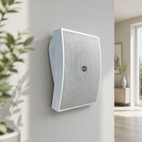 Haut-parleur mural de 5 pouces, système de sonorisation PA 20W, 70V/100V, système de sonorisation public intérieur, ensemble complet pour centre commercial, hall d'hôtel