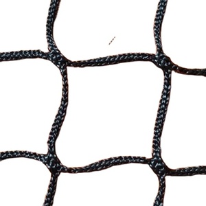 Pe Geknoopt Skiveld Veiligheidsbescherming <span class=keywords><strong>Net</strong></span> Sportnet Voor Buitensport Visnetten - Product Image 1