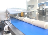 Ligne de Production automatique de pain grillé, Machine de fabrication de pain au Lavash de haute qualité