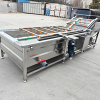 YouBan Factory OEM SUS304 Automatische fruit- en groentewasmachine met ozon & hogedruksproeier