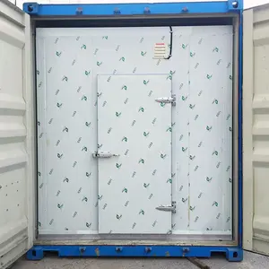 20 Ft 40 Ft Mobile Cold Storage Freezer With Good Condensing Unit Cold Room Container