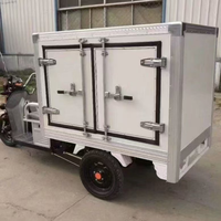 Camion de livraison électrique à trois roues personnalisé avec chambre froide mobile et chambre froide de tricycle pour la logis