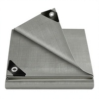Bâche tissée imperméable en tissu HDPE laminé avec œillets 280 GSM argentée pour la protection du bois et du charbon