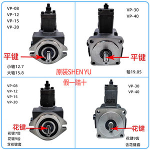 Pompe à palettes variables Shen Yu série VP hydraulique pour machines de moulage par injection et de fonderie sous pression - Product Image 5
