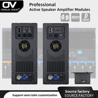 Amplificateur de puissance DSP haute puissance classe D, amplificateur Hifi double canal, carte mère d'amplificateur de haut-parleur, haut-parleur audio