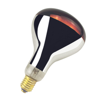 Ampoule chauffante infrarouge à bulles réfléchissante 230w 250w pour animaux, porcelets/poulets de chair/moutons/poulets/oiseaux R40 R125
