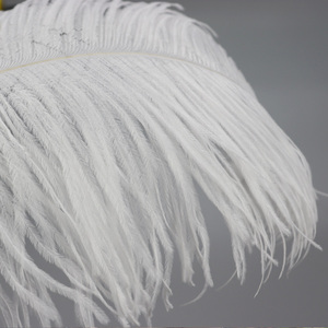 Pied de <span class=keywords><strong>plume</strong></span> d'autruche blanche artisanal de 70-75 cm - Product Image 5