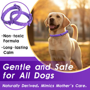 <span class=keywords><strong>Collar</strong></span> calmante para perros, 4 paquetes, collares calmantes para perros, alivio de la ansiedad, separación del estrés, tamaño de 25 pulgadas ajustable para perros de todas las edades - Product Image 3