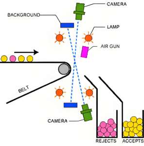 بذور شمس بندق أتوماتيكية من 5-15 شوتيس من 5 إلى 15 من من 5 إلى 15 في الساعة 15-30 زهرة من 3 إلى 5 في الساعة 30 إلى 50 من 4 إلى 6 في الساعة بسعر المصنع السابق - Product Image 6